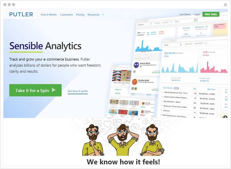 Pulter Best Stripe Analytics Software