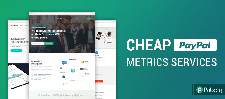 Cheapest PayPal Payment Metrics Services
