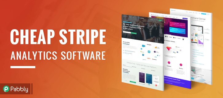 Cheap Stripe Analytics Software