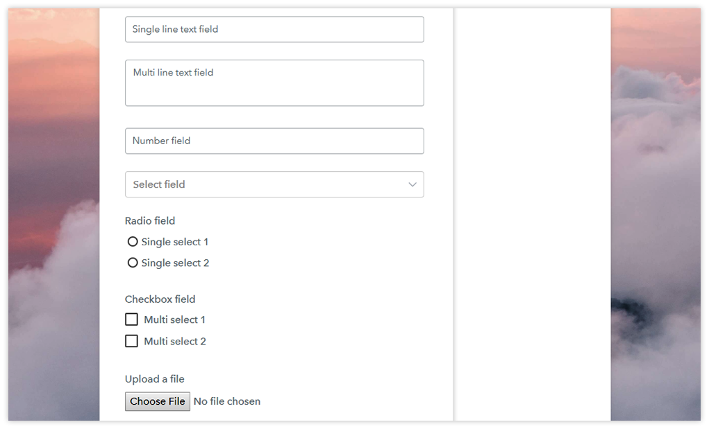 Checkout page after custom fields