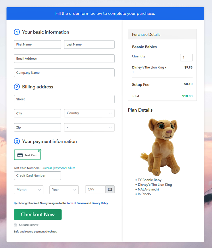 Checkout Page to Sell Beanie Babies Online
