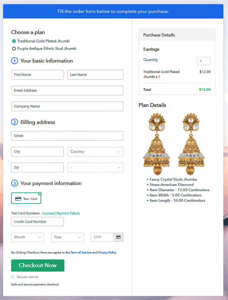 Preview Multiplan Checkout Page - Sell Earrings Online