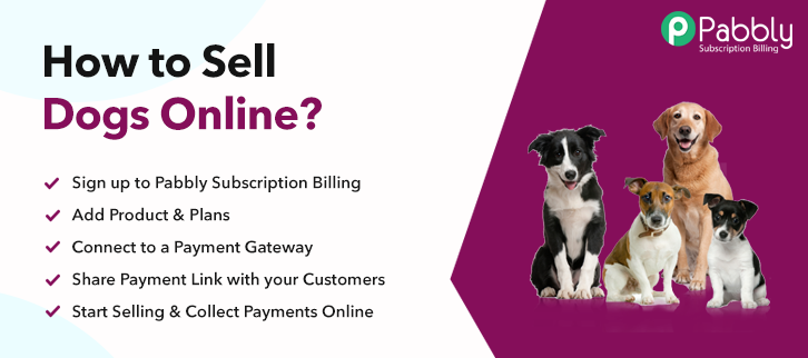 How to Sell Dogs Online | Step by Step (Free Method)