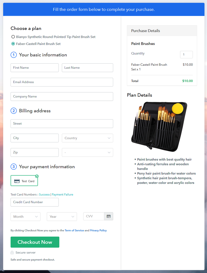 Multiplan Checkout Page to Sell Paint Brushes Online