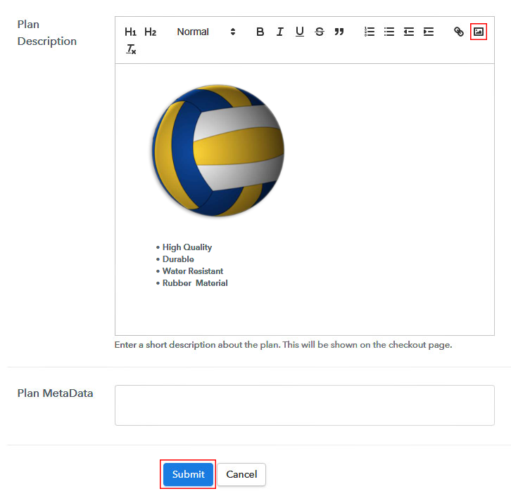 Add Image & Description to Sell Beach Volleyballs Online