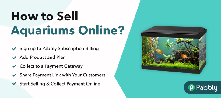 How to Sell Aquariums Online