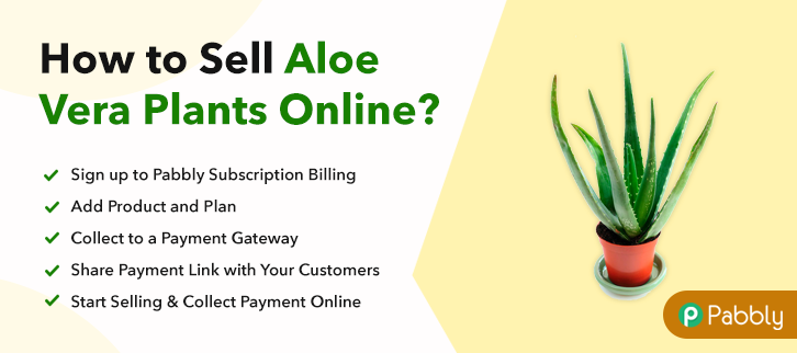 How to Sell Aloe Vera Plants Online