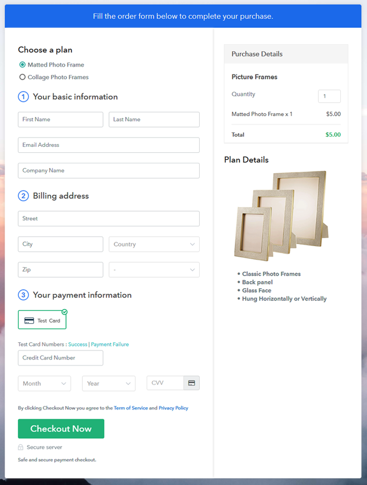 Multiplan Checkout Page to Sell Picture Frames Online