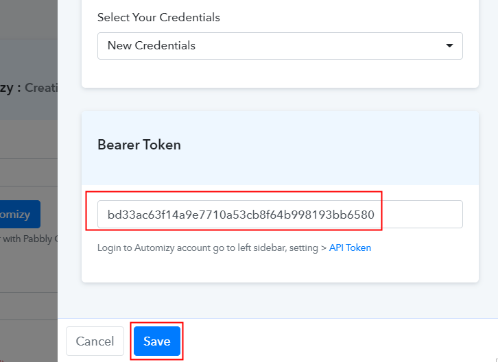 Paste API Token in Pabbly Connect