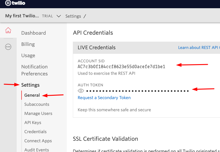 Copy API token