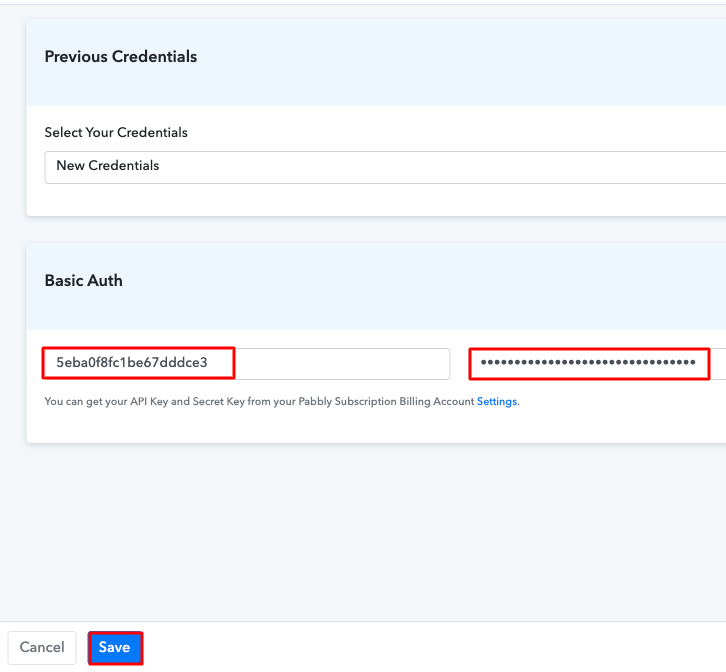 Paste the API Key