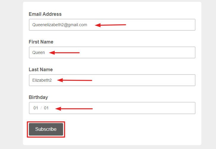Fill up the Form to How to Add New MailChimp Subscribers to Google Sheets Rows