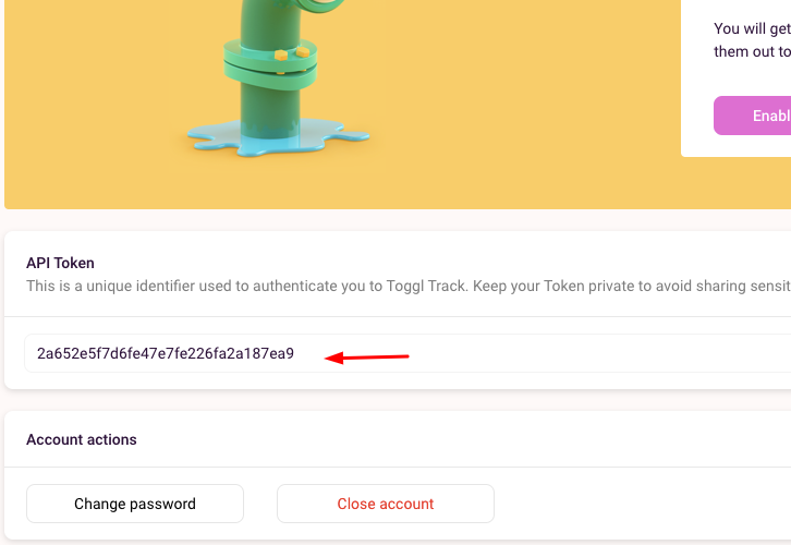 Copy the API Token Toggl