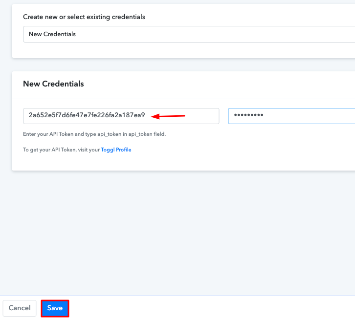 Paste the API Token Toggl