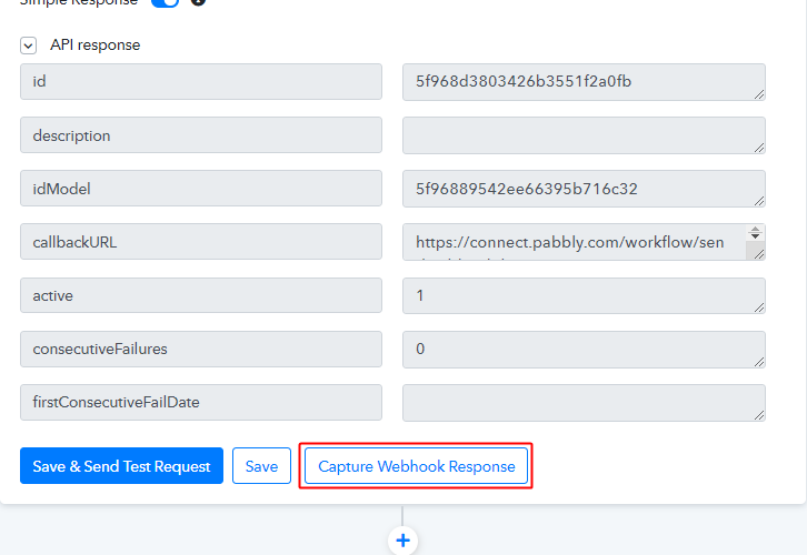 Capture Webhook Response