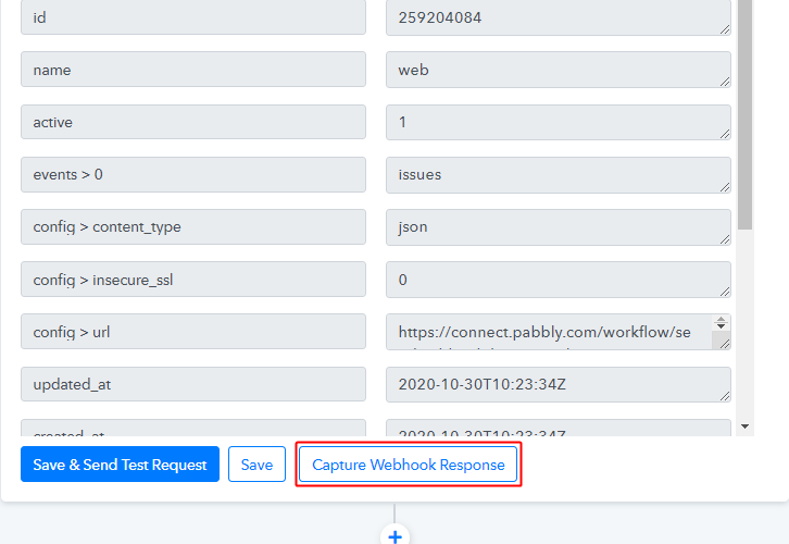 Capture Webhook Response