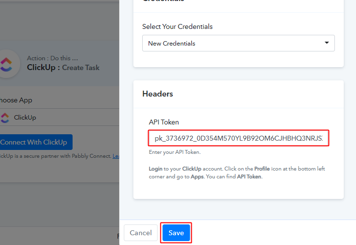 Paste API Token