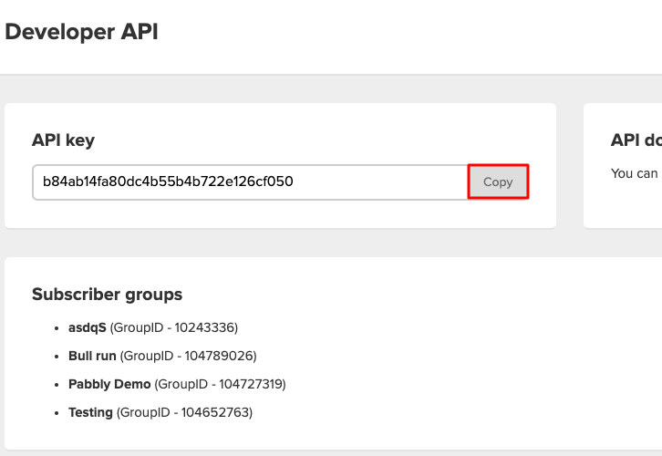 Copy the API Key Add Stripe Customers to a Group of MailerLite Subscribers