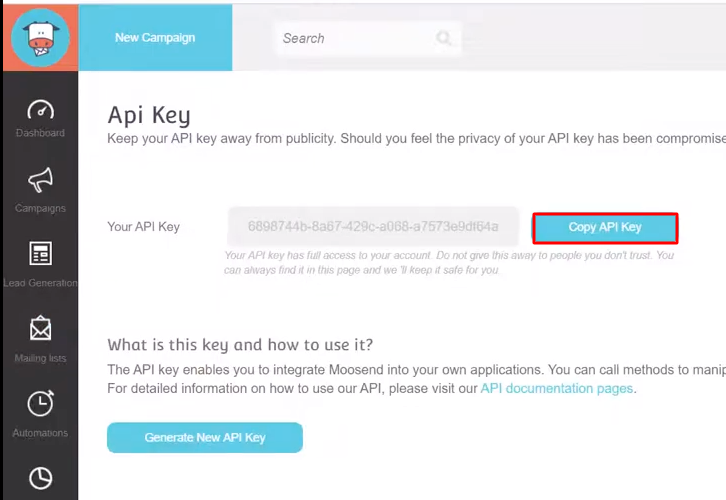 Copy the API Key