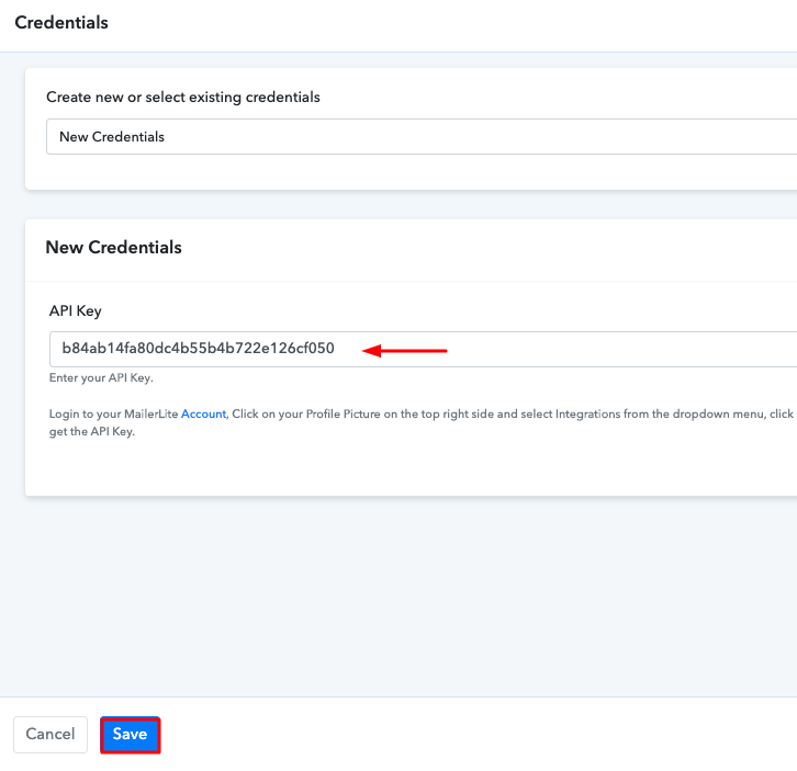 Paste the API Key Add Stripe Customers to a Group of MailerLite Subscribers