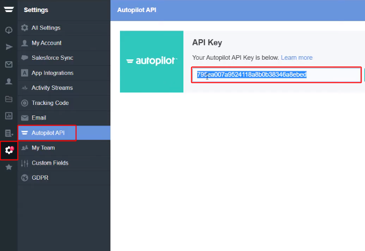 Copy API Key