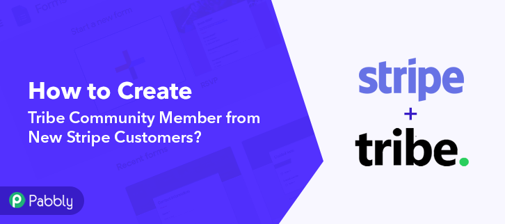 How to Create Tribe Community Member from New Stripe Customers