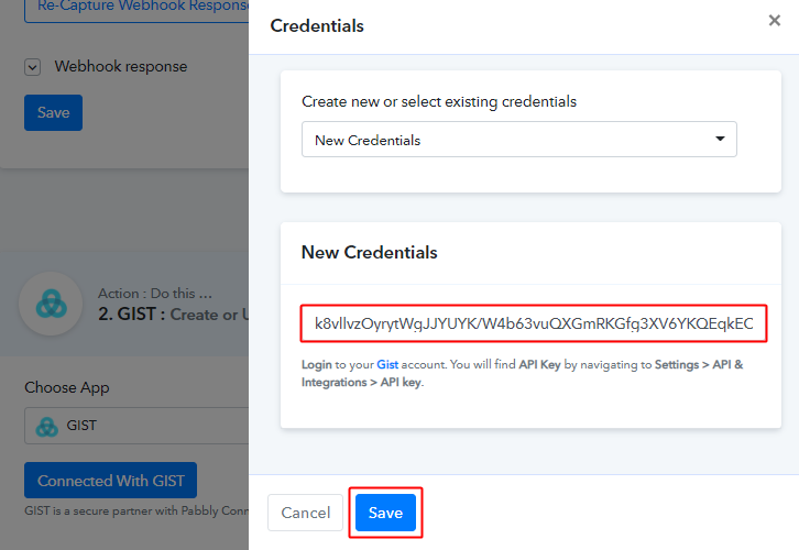 Paste API Key for Stripe to Gist