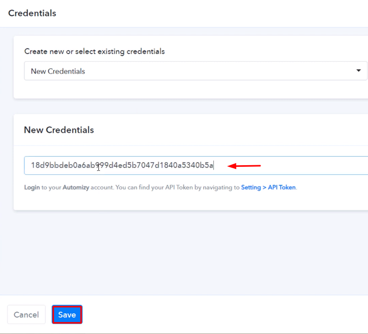 Paste the API Key Automizy