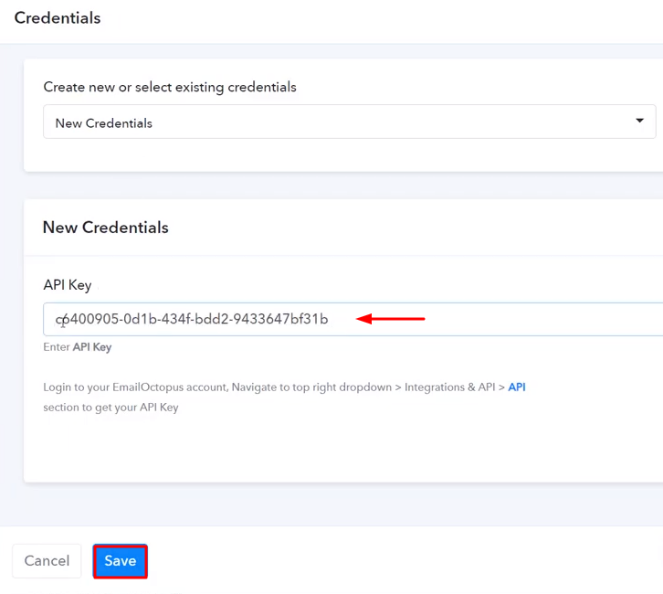 Paste the API Key EmailOctopus