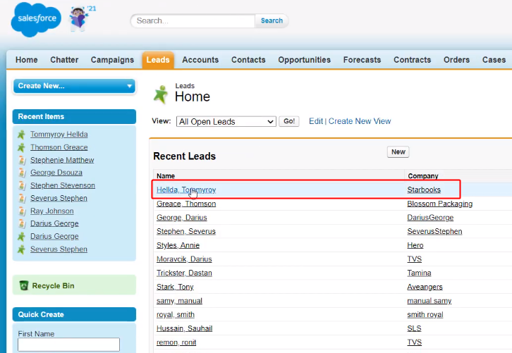 Lead Entry on Salesforce