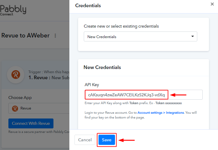 paste_api_key