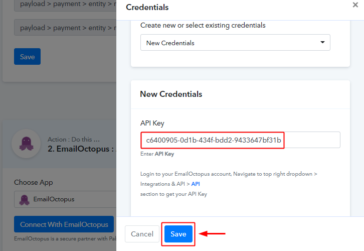 Paste the Emailoctopus Api Key