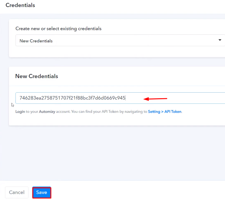 Paste the API Token Automizy