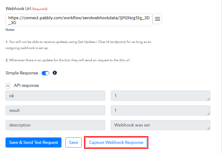 Capture Webhook Response