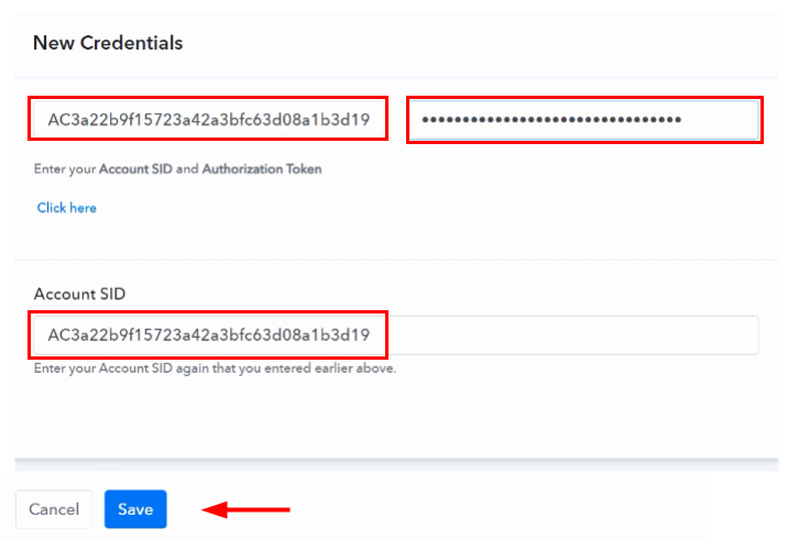 Paste API Token