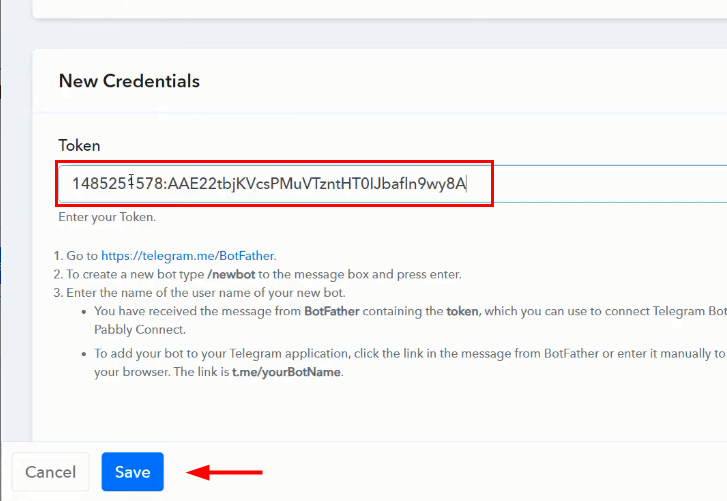 Paste the API Token