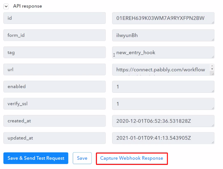 Capture Webhook Response