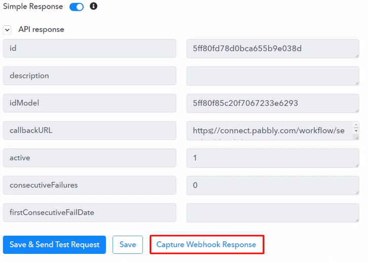 Capture Webhook Response