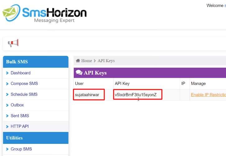 Copy the API Key SmsHorizon