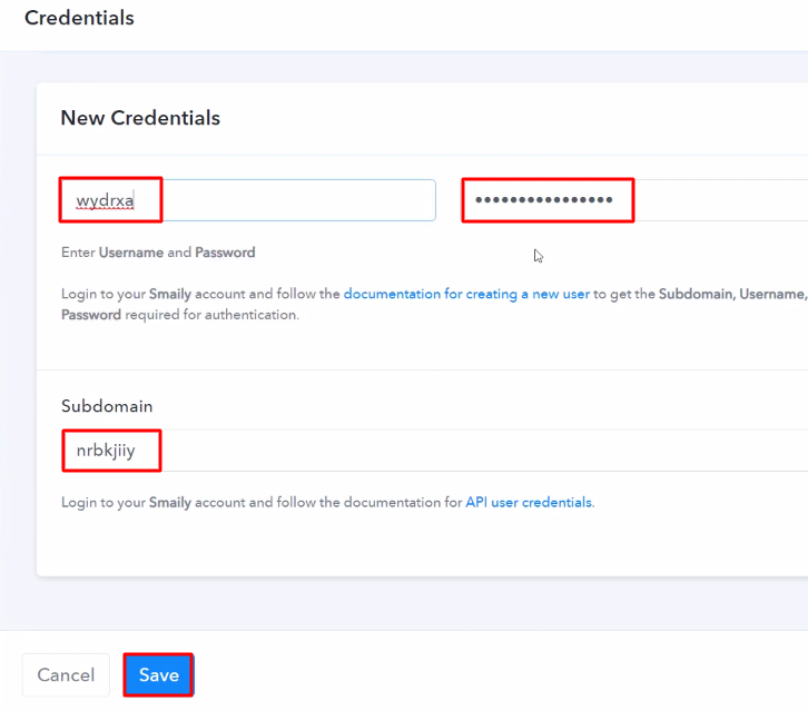 Paste the API Key Smaily