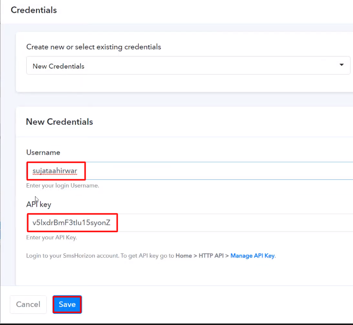 Paste the API Key SmsHorizon