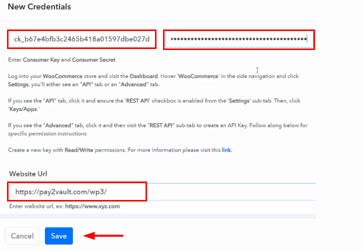 Paste Consumer Key