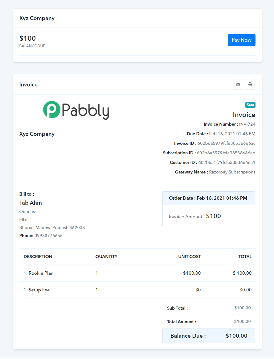 paynow_button_invoice1