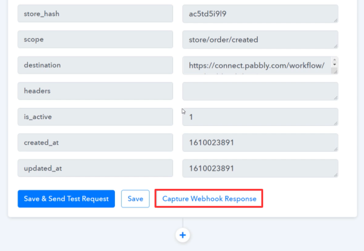 Capture Webhook Response