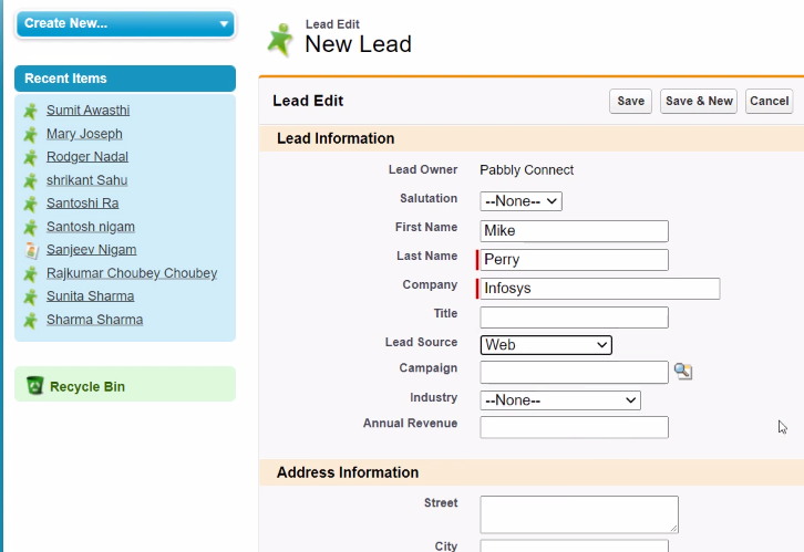 Add Lead Details Salesforce