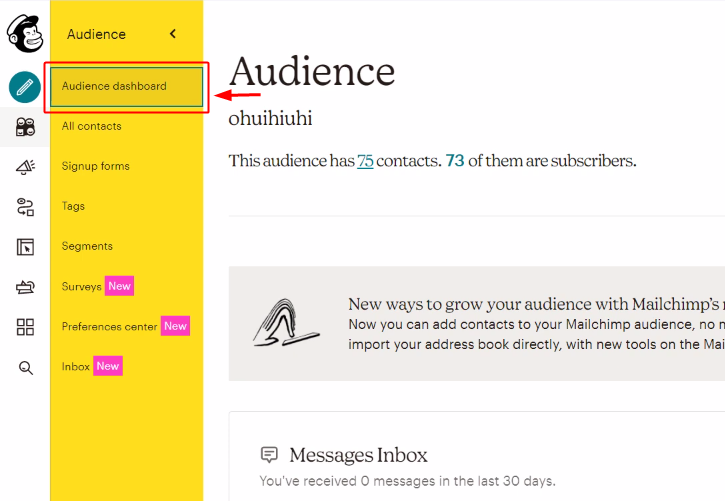 Audience Dashboard for Mailchimp to WhatsApp Integration