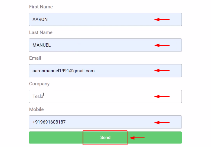 Submit Elemetor Test Form for Elementor to Google Sheets