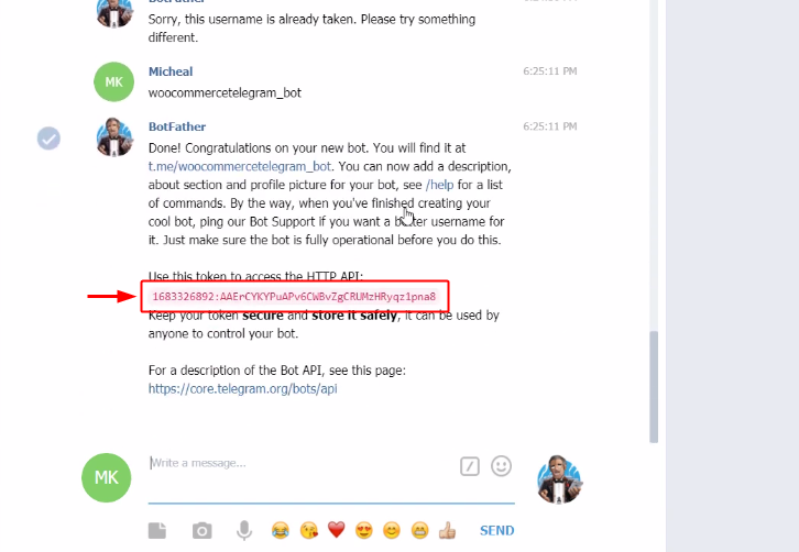 Copy token to Send Telegram Notification for New WooCommerce Orders