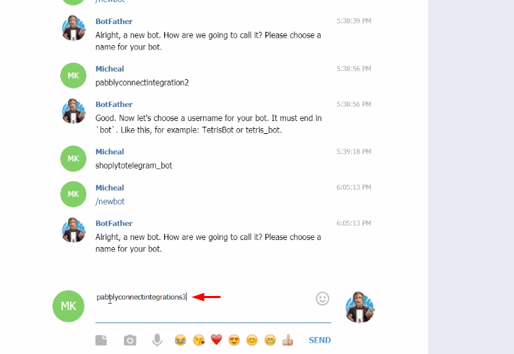 Name Bot to Send Telegram Messages on Form Submissions