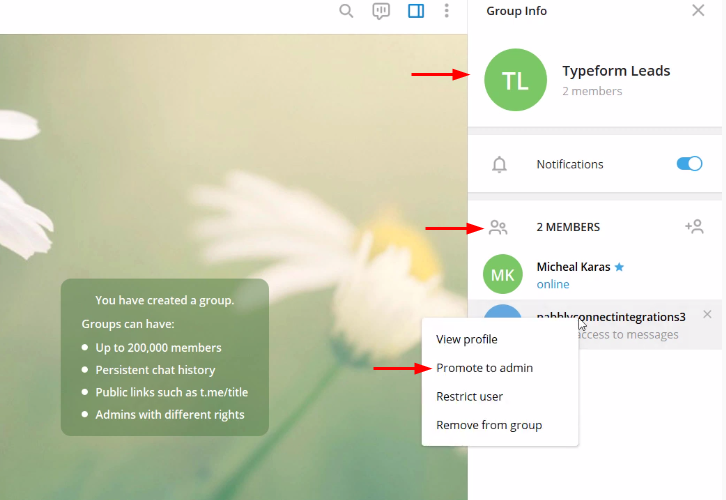 Telegram Settings to Send Telegram Messages on Form Submissions